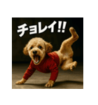 ブレイクダンス犬（個別スタンプ：30）