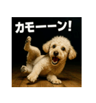 ブレイクダンス犬（個別スタンプ：32）