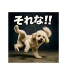 ブレイクダンス犬（個別スタンプ：34）