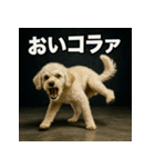 ブレイクダンス犬（個別スタンプ：35）