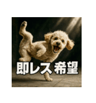 ブレイクダンス犬（個別スタンプ：37）