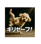 ブレイクダンス犬（個別スタンプ：38）