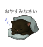 とある黒猫の日常（個別スタンプ：3）