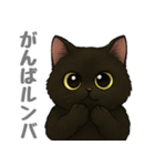とある黒猫の日常（個別スタンプ：7）