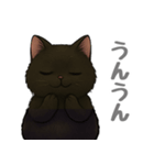 とある黒猫の日常（個別スタンプ：15）