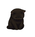 とある黒猫の日常（個別スタンプ：19）