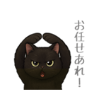 とある黒猫の日常（個別スタンプ：39）