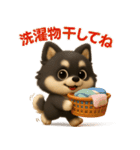『家族とのやりとりに』3D黒ポメ（個別スタンプ：20）