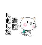 緊急メッセージ♡迅速に対応するしろちゃん（個別スタンプ：13）
