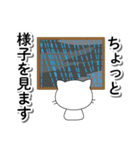 緊急メッセージ♡迅速に対応するしろちゃん（個別スタンプ：33）