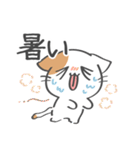毎日使いやすい☆ゆる猫の日常（個別スタンプ：17）