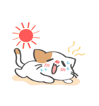 毎日使いやすい☆ゆる猫の日常（個別スタンプ：18）