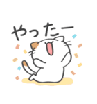 毎日使いやすい☆ゆる猫の日常（個別スタンプ：25）