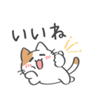 毎日使いやすい☆ゆる猫の日常（個別スタンプ：30）