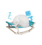 ダイナミックな白いかわいい猫（個別スタンプ：9）