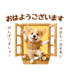 飛び出す癒しコーギーのラフな敬語（個別スタンプ：1）