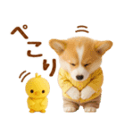 飛び出す癒しコーギーのラフな敬語（個別スタンプ：6）