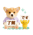 飛び出す癒しコーギーのラフな敬語（個別スタンプ：7）