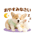 飛び出す癒しコーギーのラフな敬語（個別スタンプ：11）