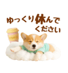 飛び出す癒しコーギーのラフな敬語（個別スタンプ：12）