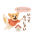 飛び出す癒しコーギーのラフな敬語（個別スタンプ：14）