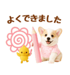 飛び出す癒しコーギーのラフな敬語（個別スタンプ：18）