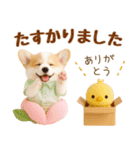 飛び出す癒しコーギーのラフな敬語（個別スタンプ：23）