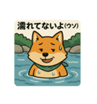 コンちゃん〜川遊び〜（個別スタンプ：37）