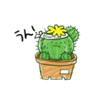 ちびサボテン（個別スタンプ：16）
