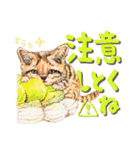 デカ文字 アニマル＆フードまにあ（個別スタンプ：34）