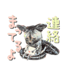 デカ文字 アニマル＆フードまにあ（個別スタンプ：40）