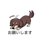 名前入りダックスロングチョコクリーム（個別スタンプ：7）