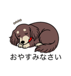名前入りダックスロングチョコクリーム（個別スタンプ：9）