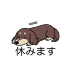 名前入りダックスロングチョコクリーム（個別スタンプ：16）