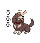 名前入りダックスロングチョコクリーム（個別スタンプ：19）