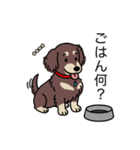 名前入りダックスロングチョコクリーム（個別スタンプ：24）
