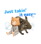 デグー大好き！ニートにゃ猫耳妖精 英語版（個別スタンプ：8）