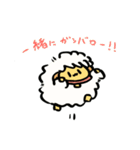 ヒツジのペーコラ2（個別スタンプ：11）