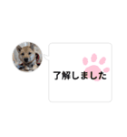 はなのスタンプ② 業務用（個別スタンプ：3）