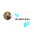 はなのスタンプ② 業務用（個別スタンプ：7）