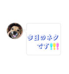 はなのスタンプ② 業務用（個別スタンプ：16）