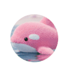 カラフルなシャチプレミアムカプセルトイ（個別スタンプ：8）