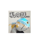 サカナトテラス（個別スタンプ：1）