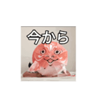 サカナトテラス（個別スタンプ：3）