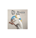 サカナトテラス（個別スタンプ：6）