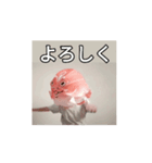 サカナトテラス（個別スタンプ：10）