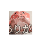 サカナトテラス（個別スタンプ：12）