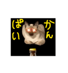 お酒とネコ好きな日常会話 44（個別スタンプ：2）