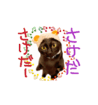 お酒とネコ好きな日常会話 44（個別スタンプ：4）