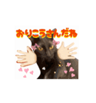 お酒とネコ好きな日常会話 44（個別スタンプ：10）